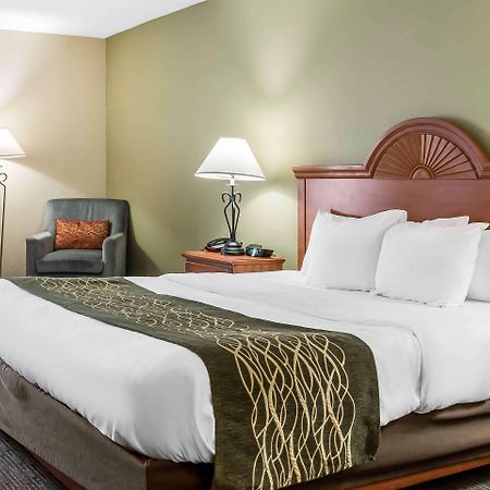 Comfort Inn Pine Grove I-81 Hershey Area Eksteriør billede