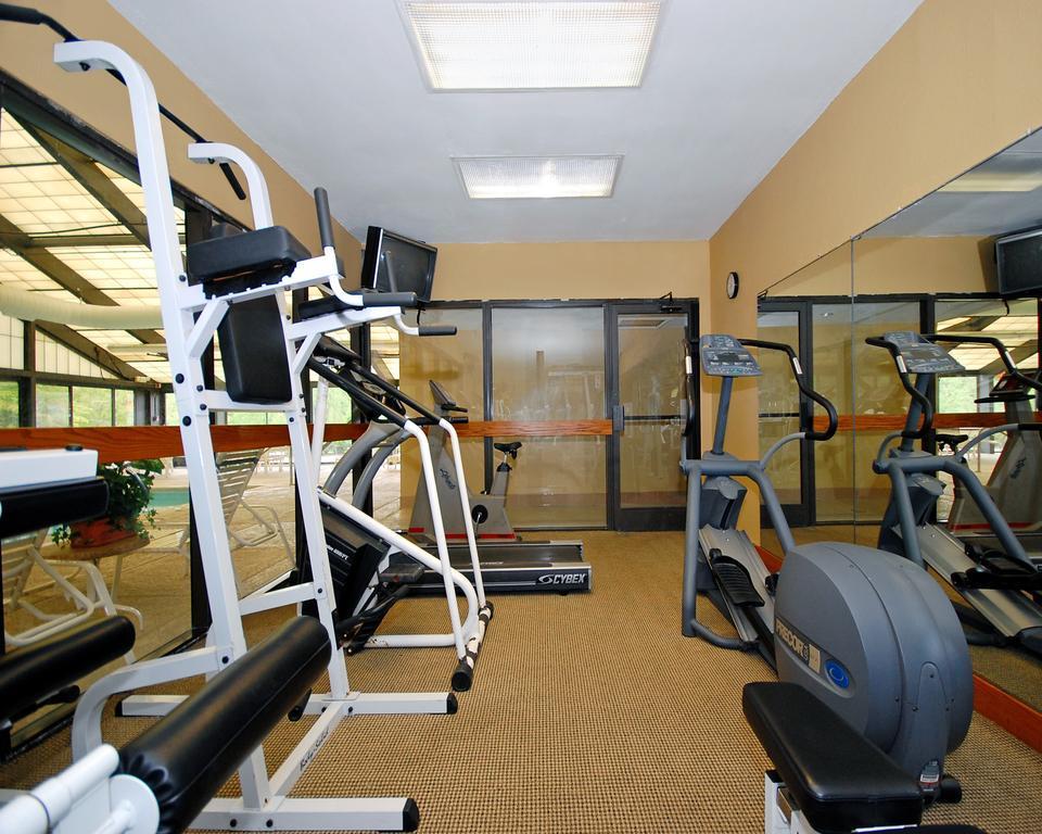 Comfort Inn Pine Grove I-81 Hershey Area Eksteriør billede
